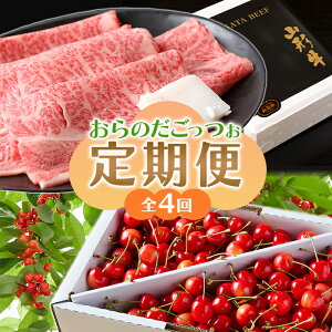 yӂ邳Ɣ[Łz ss\ 2026Nxtu炾̂v FSY-2344