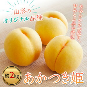 yӂ邳Ɣ[Łz ss\ 2026Nxt_Ƃ߁I󏭕iuPv 2kg FSY-2381