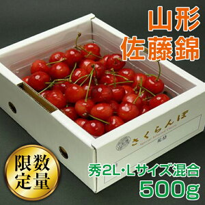 �y�ӂ邳�Ɣ[�Łz�s��s�\��t�{�嗱��R�`�Y�������ڍ����с��G2L�EL�T�C�Y������500g�o���l�y6����{�`6�����{�����z FSY-0422