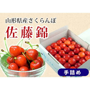 yӂ邳Ɣ[Łz ss\ 2026NxtځyсzGi L l 500g FSY-0154