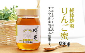 【ふるさと納税】FY20-334 純粋蜂蜜 りんご蜜 500g