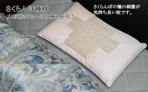 yӂ邳Ɣ[Łzڎ햍 fz20-085 Q ܂ 