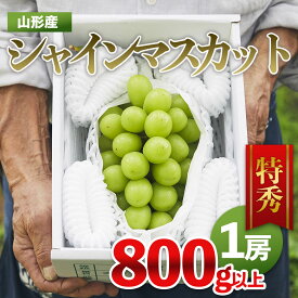 【ふるさと納税】山形市産 シャインマスカット 特秀 1房 800g以上 FY22-402 fz21-209 fz22-399