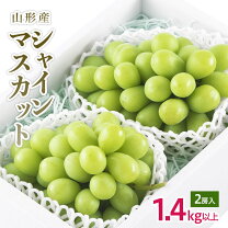 楽天市場】シャインマスカット 4kgの通販