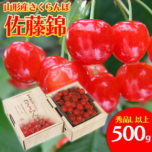 yӂ邳Ɣ[Łz  LTCY 500g yߘa8NYs\zFS25-560  ʕ t[c R` R` R`s  2026NY