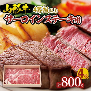 yӂ邳Ɣ[ŁzR` T[CXe[Lp 4ȏ 800g FZ18-655 R`   uh