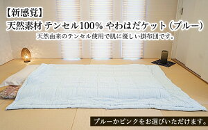 yӂ邳Ɣ[ŁzyVozVRf eZ100 ͂Pbg(u[) FY23-321