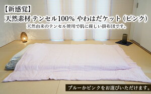 yӂ邳Ɣ[ŁzyVozVRf eZ100 ͂Pbg(sN) FY23-322