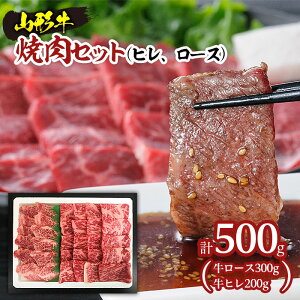 yӂ邳Ɣ[ŁzR`ēZbg500g(qA[X) fz20-009 R`   uh
