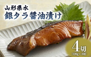 yӂ邳Ɣ[ŁzR` ^ݖЂ4؃Zbg FZ21-204