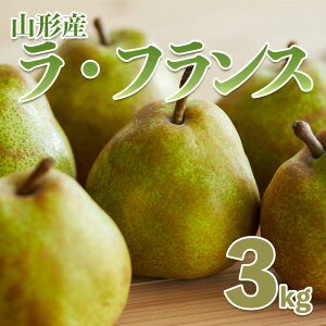 yӂ邳Ɣ[ŁzmȂ̏uR`tXv3kg yߘa7NYs\zFS21-247
