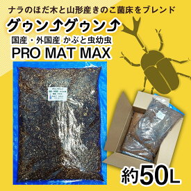 【ふるさと納税】FY22-207 カブトムシ幼虫マット(土) 約50L(約5L×10袋)