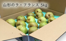 【ふるさと納税】山形のラ・フランス 約5kg(10～16玉・3L～6L) fz20-708 ラフランス 洋梨 フルーツ 果物 お取り寄せ 送料無料 洋なし