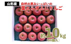 【ふるさと納税】自然の恵みいっぱいの葉とらず ふじりんご 約10kg(46個) fz20-566 リンゴ 林檎 フルーツ 果物 お取り寄せ 送料無料