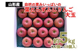 【ふるさと納税】FY22-030 自然の恵みいっぱいの葉とらずふじりんご 大玉 約5kg
