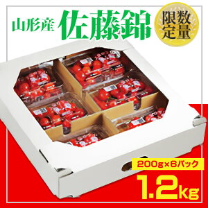 yӂ邳Ɣ[ŁzR`ڍсLTCYȏ 1080g(180g×6) yߘa8NYs\z FS25-557  ʕ t[c R` R` R`s  2026NY