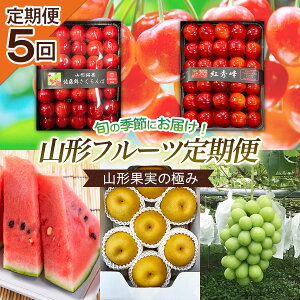 yӂ邳Ɣ[Łzy5zR`ʎ̋ɂ yߘa8NYs\zFU20-100  ʕ t[c R` R` R`s  2026NY