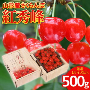 yӂ邳Ɣ[Łz gG I Lȏ 500g1 yߘa8NYs\zFS25-559  ʕ t[c R` R` R`s  2026NY