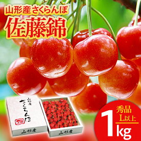 【ふるさと納税】さくらんぼ 佐藤錦 Lサイズ以上1kg1箱 【令和6年産先行予約】FU20-126 フルーツ くだもの 果物 お取り寄せ 先行予約