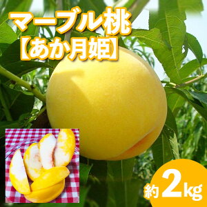 yӂ邳Ɣ[Łz}[u(P)Gi2kg[炩Ȃ铍]yߘa8NYs\zFU20-506 ʕ t[c R` R` R`s  s\ 2026NY