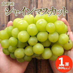 yӂ邳Ɣ[ŁzՂՂ̑[VC}XJbg 1[(800gȏ) yߘa8NYs\zFU20-466  ʕ t[c R` R` R`s  2026NY