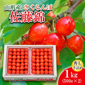 【ふるさと納税】さくらんぼ 佐藤錦 L(500g×2)手詰 【令和8年産先行予約】FS25-529 くだもの 果物 フルーツ 山形 山形県 山形市 お取り寄せ 2026年産