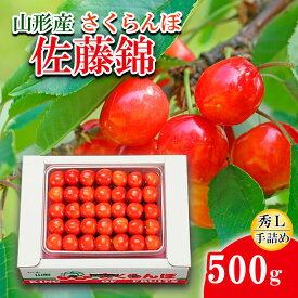 【ふるさと納税】さくらんぼ 佐藤錦 L500g 手詰 【令和8年産先行予約】FS24-581 くだもの 果物 フルーツ 山形 山形県 山形市 お取り寄せ 2026年産