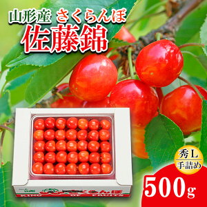 yӂ邳Ɣ[Łz  L500g l yߘa8NYs\zFS24-581  ʕ t[c R` R` R`s  2026NY