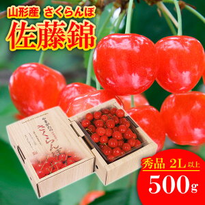 yӂ邳Ɣ[Łz  h󏭂ȑ嗱h I 2LTCYȏ 500g 1 yߘa8NYs\zFS25-564  ʕ t[c R` R` R`s  2026NY