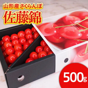 yӂ邳Ɣ[Łz{R`Y   LTCY 500g X[u ol yߘa8NYs\zFS25-542  ʕ t[c R` R` R`s  2026NY