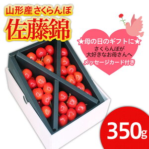 yӂ邳Ɣ[Łz̓R`Y   LTCY 350g NXolbZ[Wt(5/4`5/10) yߘa8NYs\zFS25-543  ʕ t[c R` R` R`s 