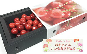 yӂ邳Ɣ[Łz5܂邲ƕ̓  X[ LTCY 300g (5/15`)yߘa8NYs\z FS24-677  ʕ t[c R` R` R`s  2026NY