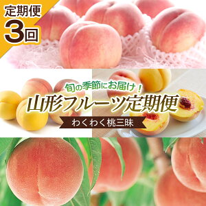 yӂ邳Ɣ[Łzy3z{̎ɂ͂I킭킭O yߘa8NYs\zFU22-744  ʕ t[c R` R` R`s  2026NY