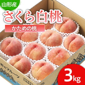 【ふるさと納税】山形市産 桃「さくら白桃」 秀以上 3kg(6玉～9玉)[かための桃] 【令和6年産先行予約】FU22-751 フルーツ くだもの 果物 お取り寄せ 先行予約