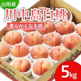 【ふるさと納税】山形市産 桃「川中島白桃」 秀以上 5kg(13玉〜18玉)[柔らかくなる桃] 【令和8年産先行予約】FS25-728 くだもの 果物 フルーツ 山形 山形県 山形市 お取り寄せ 2026年産