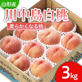 【ふるさと納税】山形市産 桃「川中島白桃」 秀以上 3kg(8玉〜11玉)[柔らかくなる桃] 【令和8年産先行予約】FS25-727 くだもの 果物 フルーツ 山形 山形県 山形市 お取り寄せ 2026年産
