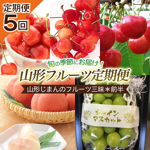 yӂ邳Ɣ[Łzy5zR`܂̃t[cOցO yߘa8NYs\zFS25-655  ʕ t[c R` R` R`s  2026NY