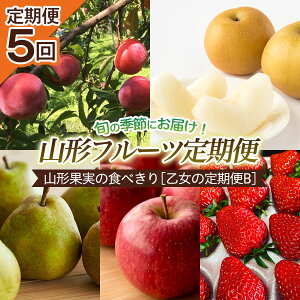 yӂ邳Ɣ[Łzy5zR`ʎ̐Hׂ[̒B] yߘa8NYs\zFU22-949  ʕ t[c R` R` R`s  2026NY