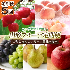 yӂ邳Ɣ[Łzy5zR`܂̃t[cO5񁖌㔼 yߘa8NYs\zFU22-747  ʕ t[c R` R` R`s  2026NY