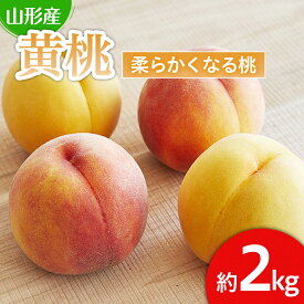 【ふるさと納税】FS21-166 山形産 黄色い桃(有袋・無袋)2kg(5～9玉)[柔らかくなる桃]