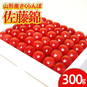 yӂ邳Ɣ[ŁzR`Y nEX   300g l LTCYȏ yߘa8NYs\zFS24-545  ʕ t[c R` R` R`s  2026NY