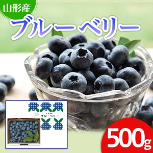 yӂ邳Ɣ[ŁzR`sY u[x[ 500g yߘa8NYs\z FS25-608  ʕ t[c R` R` R`s  2026NY