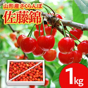 yӂ邳Ɣ[ŁzR`̂  1kg LTCYȏ ol yߘa8NYs\zFS25-513  ʕ t[c R` R` R`s  2026NY
