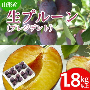 yӂ邳Ɣ[ŁzR`̐v[(vWfg)1.8kgȏ(450g×4pbN) yߘa7NYs\zFS24-654  ʕ t[c R` R` R`s  2025NY