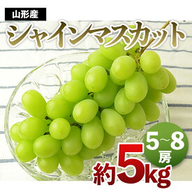 【ふるさと納税】山形の大粒シャインマスカット 秀品 約5kg【令和6年産先行予約】 FS21-647 フルーツ くだもの 果物 お取り寄せ 先行予約