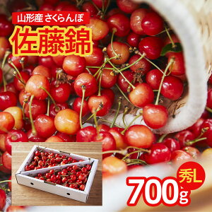 yӂ邳Ɣ[ŁzځI _ƃIXXIL 700g yߘa8NYs\zFU21-672 ʕ t[c R` R` R`s  2026NY