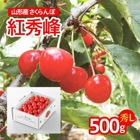 【ふるさと納税】FS21-675 山形産 さくらんぼ(紅秀峰) 秀L 500g