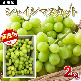【ふるさと納税】【ご家庭用】シャインマスカット 約2kg 1箱【令和7年産先行予約】FU21-645 フルーツ くだもの 果物 お取り寄せ 先行予約 訳あり