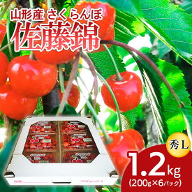 【ふるさと納税】山形産 さくらんぼ 佐藤錦 L 1.2kg(200g×6パック) 【令和6年産先行予約】FU21-800 フルーツ くだもの 果物 お取り寄せ 先行予約