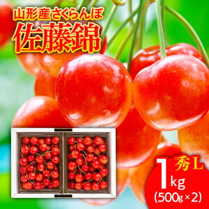 yӂ邳Ɣ[Łz 1kg(500g×2) L ol yߘa8NYs\zFS25-507  ʕ t[c R` R` R`s  2026NY